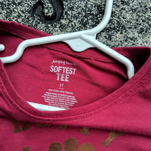 Jumping Beans Happy Turkey Day Graphics Softest Tee Toddler Girls T-Shirt Top 2T - Picture 3 of 3